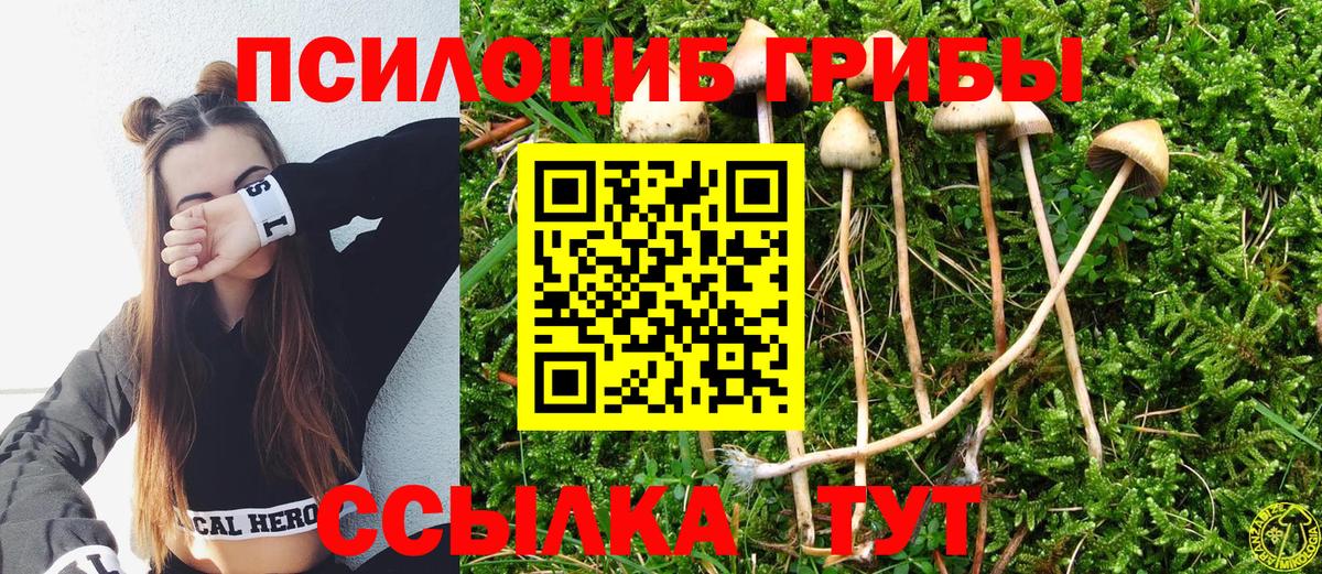 Псилоцибиновые грибы Psilocybe  Вход с VPN  Кемерово 